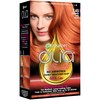 Garnier Olia Bold Ammonia Free Permanent Hair Color (Packaging May
