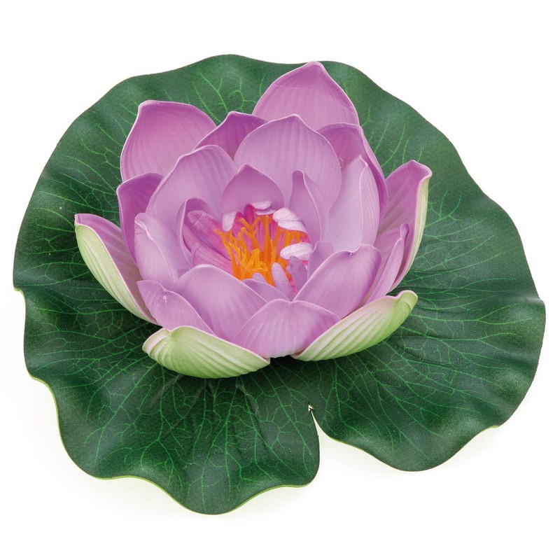 Oase Pontec-Pondolily-White Water Lily Flower