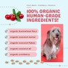 CocoTherapy Coco-Gems Dog Training Treat (Cranberry) 5 Oz.