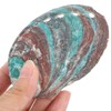 DOITOOL Abalone Shell 3pcs Abalone Shell Smudge Bowls Shell Smudge