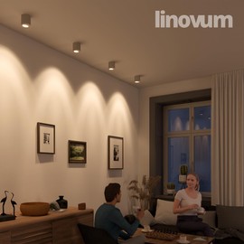 linovum Cori Pivoting Surface-Mounted Spotlight, White and Brushed Aluminium with Diameter 8 cm, Round Surface-Mounted Ceiling Light for GU10 and LED Modules