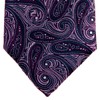 Retreez Elegant Paisley Art Pattern Woven Microfiber 3.15" Men's Tie