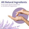 American Biotech Labs Silver Biotics Advanced Healing Skin Cream Lavender