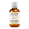 Greenwood Essential Pure Hyssop Essential Oil (Hyssopus officinalis) 100% Natural