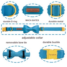 Unique style paws Dog Collar with Bowtie, Soft Cotton Collar with Reinforced Golden Metal Buckle Comfortable & Adjustable Collar for Small Medium Large Dogs & Cats