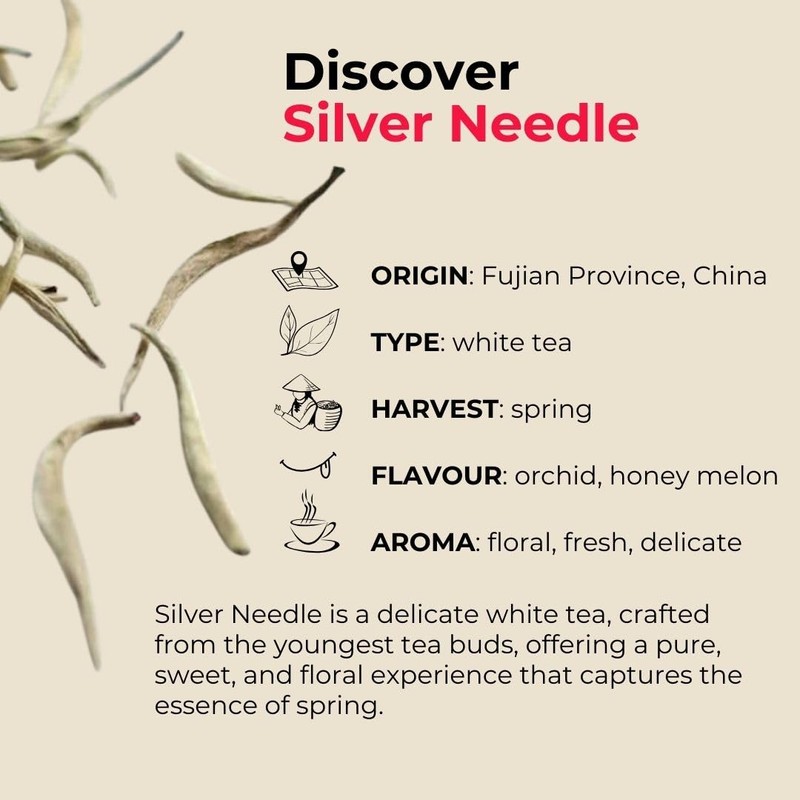 Teapro Supreme Silver Needle White Tea | Bai Hao Yin