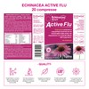 Echinacea Benefit Active Flu, 20 compresse