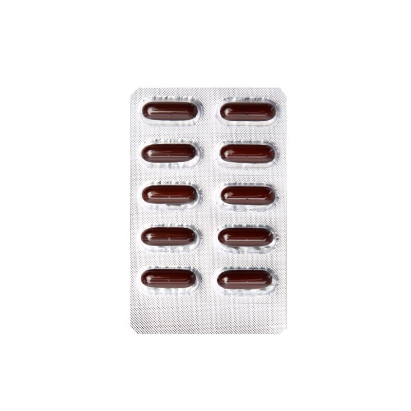 Real Doctor (bag) (Real Doctor) Milk Thistle Plus, which is