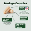 Moringa Capsules with 100% Pure Moringa Powder for Balanced Energy,