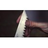 Hooyman Extendable Tree Saw with Compact Design, Detachable Handsaw and