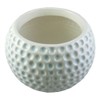 Accents & Occasions Ceramic Golf Ball Planter or Flower Arrangement