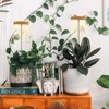 Plant Grow Light for Indoor Plant,Bamboo Mini LED Grow Light
