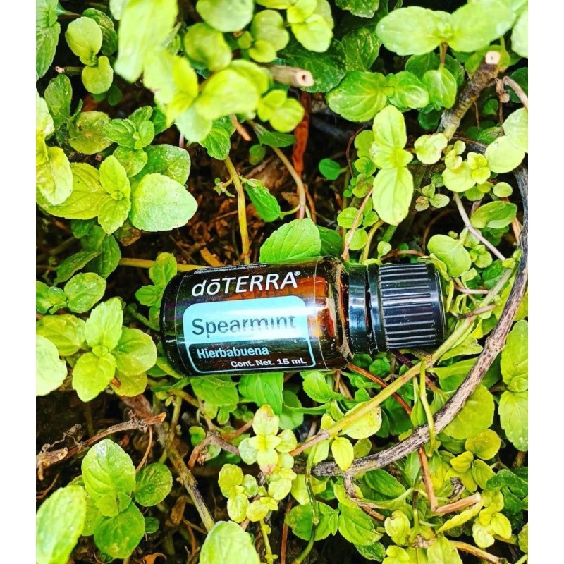Doterra Aceite Esencial De Hierbabuena Doterra 15 Ml
