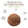 Edengi Kit 10 Tratamientos Oil Coconut Edengi 150ml Parabens Free