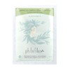 PHITOFILOS ECOBIO HENNE VEGANO ERB220 Hair Pack with Dandruff -