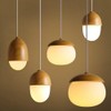 Simple Deluxe 360W 15ft Extension Hanging Lantern Pendant Light Lamp