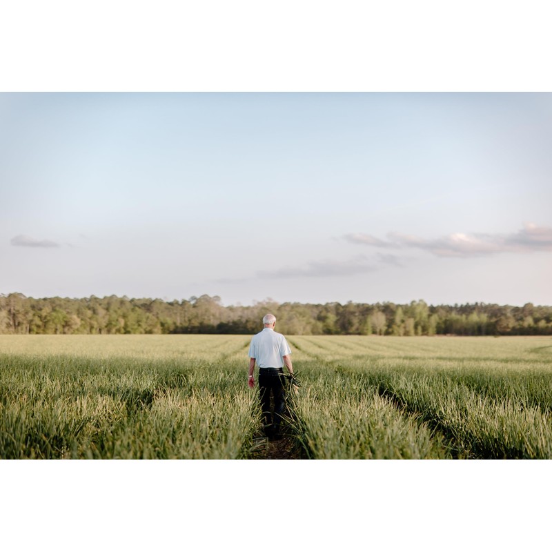 Vidalia Onion Blossom Kit – Includes Onion Cutter, Batter Mix