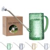 Small Watering Can Indoor Plants with 2 Spray Modes -