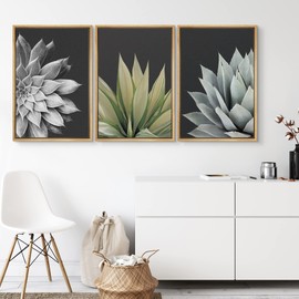 SIGNWIN Framed Canvas Print Wall Art Trio of Echevaria Succulents Floral Plants Photography Modern Art Minimalist Closeup Dramatic Black and White for Living Room, Bedroom, Office - 24"x36"x3 Natural