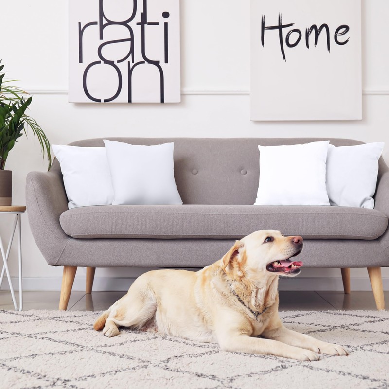 Utopia Bedding Waterproof Pillowcase 80 x 80 cm – Pack