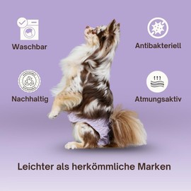 Holly Premium Dog Nappies for Female Dogs and Males, Set of 2, Heat Pants with Velcro Fastening, Washable for Incontinence, Heat, Oeko-Tex Cotton, Dog Nappy, Soft and Breathable