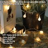 Vigdur Solar String Lights Outdoor, 2 Packs 15ft Globe String
