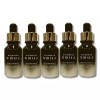 SellerHub [셀러허브]도미나스 폴리다티놀 스팟 토닝 앰플 20ml 5개 (S47224455) [Seller Hub] Dominus Polydatinol Spot Toning Ampoule 20ml 5-pack (S47224455) [single]