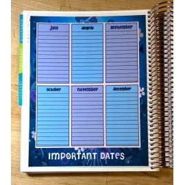 Handmade Important Dates 2 Sided Dashboard Insert for use with Erin Condren Planner-