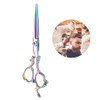 Professional Hair Cutting Thining Scissors Salon Barber Hairdressing Shear #03