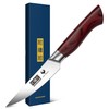 HOSHANHO 9.5cm Coltello per Sbucciare, Coltelli per Frutta Giapponese, Super