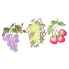 DOITOOL 3pcs Fruit Embroidered Patches Strawberry Grape Lemon Decorative Sew