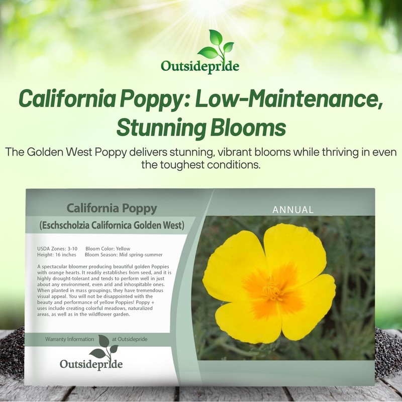 Outsidepride Golden West California Poppy Seeds - 10000 Pieces Annual,