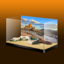 Avolander Aquarium Background, Reptile Tank Background, Desert Terrarium Background 27x11 inches