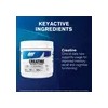 Suplemento En Polvo Gat Creatina X 500g 100 Servicios