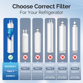 ICEPURE Refrigerator Water Filter Replacement for Everydrop Filter 3, EDR3RXD1, 4396841, 4396710, Kenmore® 46-9083, 46-9030, 9030, 9083, KAD3RXD1, WHR3RXD1, 2PACK