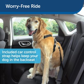 PetSafe 3 in 1 Harness with Two Point Control Leash - No-Pull Harness - Large - Black - Adjustable