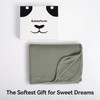 BubblePanda Ultra-Soft Rayon Made from Bamboo Baby Blanket - 30x40