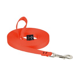 LupinePet Basics 1/2" Blaze Orange 30-foot Extra-Long Training Leash for Small Dogs