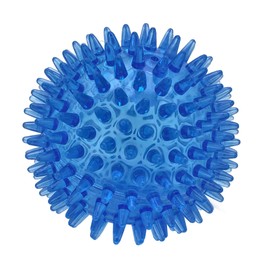 Cutie's PetBox Squeaky Rubber Spike Toy Ball for Medium, Large Dogs (3.5 Inch, Blue)