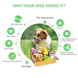 LEGEND SANDY Puppy Toys, Squeaky Dog Toys for Small Dogs, 12 Pack Puppy Chew Toys for Teething, Dog Rope Toy and Cute Stuffed Animals Value Bundle