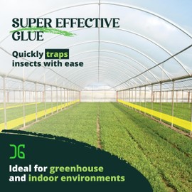 Catchmaster GRO XL AG Roll 4PK, Double Sided Adhesive Fly Tape Strips, Fungus Gnat Sticky Trap for Greenhouse, Garden, Nursery, Pest Control Gardening Supplies, Pet Safe Insect Trap, 328' x 6'' Yellow