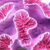 Ulifery Coral Reef Aquarium Decorations Big Fish Tank Ornaments, Pink
