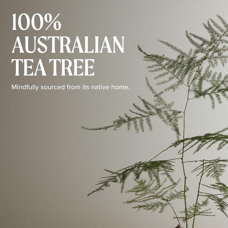 Tea Tree Styling Wax, Agrega Definición y Fijación, Para Todo