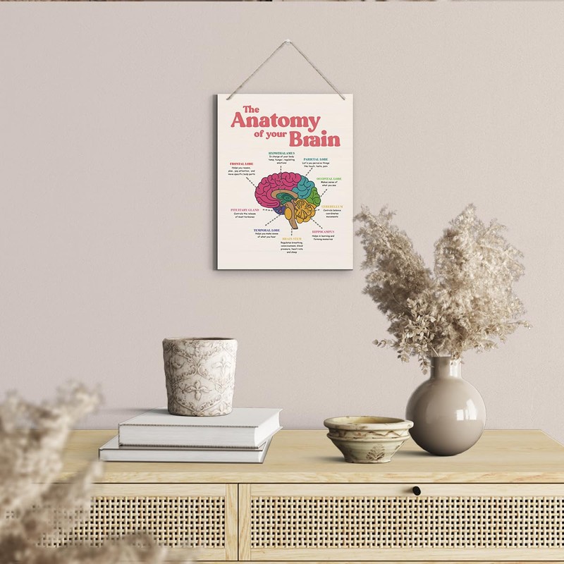 Brain Anatomy Wood Sign, 10*7.9 inches, Modern Art Decor, Hanging