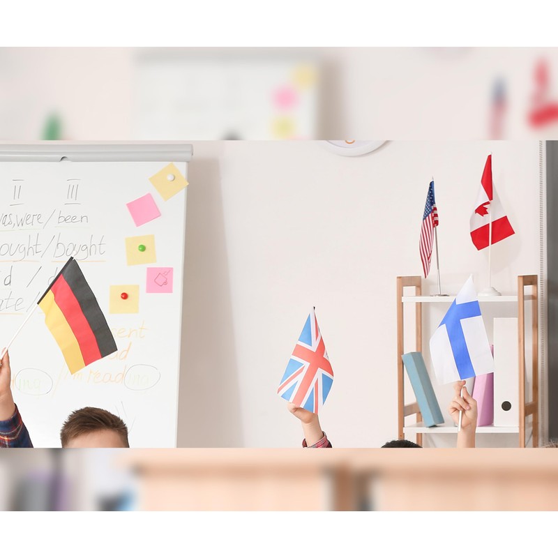 Set of 20 Countries: Hand Held Flag, 5.5 x 8.3