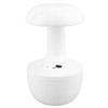 Cool Mist Humidifier 500ml Type C Anti Gravity Water Drop