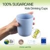 Dulce Worlds Sugarcane Toddler Cup 300 ml - Set of