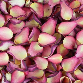 Petals and Roses Freeze Dried Rose Petal Confetti | Natural & Biodegradable for Weddings, Damson Velvet, 2 Litres