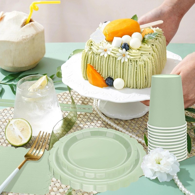 AKONE 125 Piece Sage Green Party Tableware Set for 25