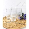 Gracenal Premium Ribbed Drinking Glass Cups with glass Straws, Stackable